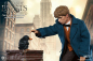 Preview: Newt Scamander MFM