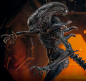 Preview: Scorched Xenomorph Actionfigur 1:6 Movie Masterpiece Series, Alien: Romulus, 44 cm