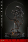 Preview: Scorched Xenomorph Actionfigur 1:6 Movie Masterpiece Series, Alien: Romulus, 44 cm