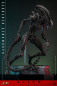 Preview: Scorched Xenomorph Actionfigur 1:6 Movie Masterpiece Series, Alien: Romulus, 44 cm