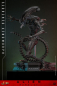 Preview: Scorched Xenomorph Actionfigur 1:6 Movie Masterpiece Series, Alien: Romulus, 44 cm