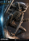 Preview: Scorpion Alien