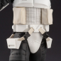 Preview: Scout Trooper