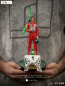 Preview: Ayrton Senna