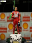 Preview: Ayrton Senna