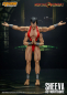 Preview: Sheeva Actionfigur 1:12, Mortal Kombat, 18 cm