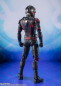 Preview: Ant-Man Actionfigur S.H.Figuarts, Ant-Man and the Wasp: Quantumania,15 cm