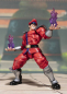 Preview: M. Bison SHF