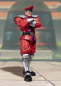 Preview: M. Bison SHF