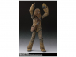 Preview: SHF Chewbacca