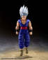 Preview: Son Gohan (Beast) Action Figure S.H. Figuarts Web Exclusive, Dragon Ball Super: Super Hero, 15 cm