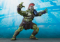 Preview: Hulk S.H.Figuarts