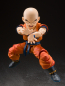 Preview: Krillin