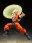 Preview: Krillin