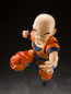 Preview: Krillin