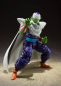 Preview: Piccolo