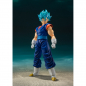 Preview: SSGSS Vegetto