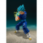 Preview: SSGSS Vegetto