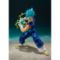 Preview: SSGSS Vegetto