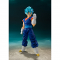 Preview: SSGSS Vegetto