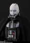 Preview: Darth Vader SHF