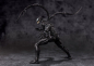 Preview: Venom Actionfigur S.H.Figuarts, Venom: The Last Dance, 19 cm