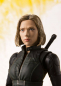 Preview: SHF Black Widow