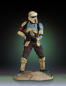 Preview: Shoretrooper Collector's Gallery