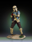 Preview: Shoretrooper Collector's Gallery