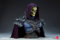 Preview: Skeletor