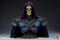 Preview: Skeletor