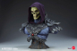 Preview: Skeletor