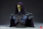 Preview: Skeletor