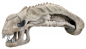 Preview: Xenomorph Skull