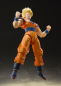 Preview: Son Gohan