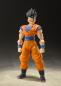 Preview: Son Gohan