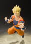 Preview: Son Gohan