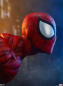 Preview: Spider-Man