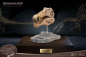 Preview: Spinosaurus Head Skull Statue Wonders of the Wild, 30 cm