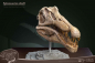 Preview: Spinosaurus Head Skull Statue Wonders of the Wild, 30 cm