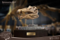 Preview: Spinosaurus Head Skull Statue Wonders of the Wild, 30 cm