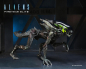 Preview: Spitter Alien Actionfigur Series 2, Aliens: Fireteam Elite, 23 cm