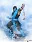 Preview: Sub-Zero