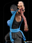 Preview: Sub-Zero