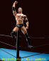 Preview: The Rock SHF