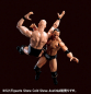 Preview: The Rock SHF