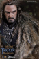 Preview: Thorin Eichenschild 1/6