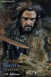 Preview: Thorin Eichenschild 1/6