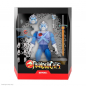 Preview: ThunderCats Actionfiguren Ultimates Wave 5, 18 cm