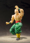 Preview: Tenshinhan S.H.Figuarts